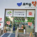 대전중앙약국 | [대전 약국 유리외벽시트 디자인] 도심 픽토그램과 깨끗한 유리의 조화 - K토탈싸인