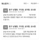 대전시의 한 개 농장에서 탈출한 개들 모두 회수 완료 이미지