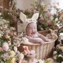 플라워 쇼룸 | 마틴스쇼룸 대전점 백일촬영,성장앨범, 감성 베이비스튜디오 추천 후기