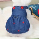 몽이애견 이미지