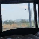 해약국 | (제주여행) 제주도 왔으면 몸국을 먹어봐야징~~~ 제주도 서에서 동으로 광치기해변 보러 달려 달려~~~