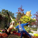 금강온천 이미지