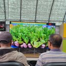 한광석농장 이미지