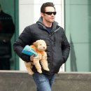 멋스럽개 이미지