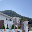 오시다(OSIDA) 네이버블로그