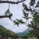 새재왕건식당 | 문경새재 힐링 여행지 찾는 분들께 추천