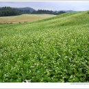 두우리 농장 이미지