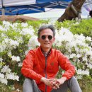 성남초등학교 이미지