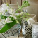 수원-0008 이미지