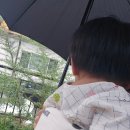 소담한방병원 이미지