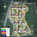 사상초등학교 횡단보도 이미지