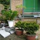 재성농장 이미지