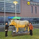 안성축산농협하나로마트 이미지