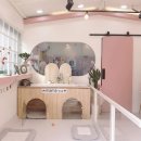 mama 펫살롱 이미지