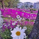 한국교원대 교육연구관 이미지