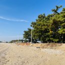 2020저도펜션여관 | 가을 오토캠핑장 추천, 대부도 나라펜션 캠핑장 후기