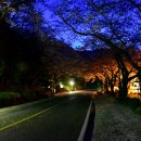 CU창원팔용디오점 이미지