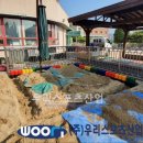 회정초등학교 이미지