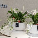 방그레병원 이미지