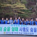 만덕2동-4 Daum카페