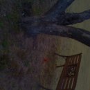 백우농장 이미지