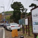 개나리교 부근 Daum카페