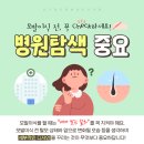 모발을 채우다 이미지