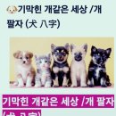 📣경조사도 않간다🔺️요즘50.60이 인간관계 끊는 진짜이유?🆘️동창회 단톡방 조용히 나갔다. #️⃣가려움증이 보내는 죽음의 신호? 이미지