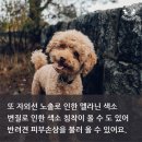 청림당 이미지