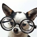 공콘택트렌즈 이미지