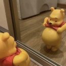 용아로379번길L | [공지] 출산 후 시기별 복직근 이개 회복 운동, 호흡법 (feat. 제왕절개, 조리원~)