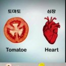우리건강식품