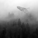 재미있는 상상 이미지