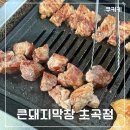 대망14-1낙차공 | 포항 초곡 맛집 큰돼지막창ㅣ가성비 좋은 세트 메뉴 맛집