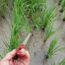 춘수농장 이미지