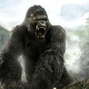 킹콩 이미지