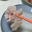 야호수산 | [가락시장 회맛집]'형제수산' 특대방어,광어,참돔 모듬회 내돈내산 후기(2025년을 마무리하며)