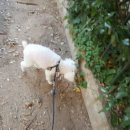 지니옵틱 이미지