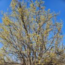 주천면 내용궁마을 이미지