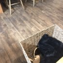 갈마동 양식집 : "릴리쉬" , 내돈내산 솔직 후기
