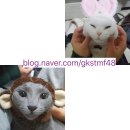 동그라미약국 이미지