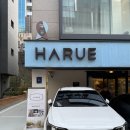 하루에 | 삼성궁 연계 스튜디오 하루에 스튜디오 만삭 촬영 후기