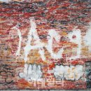 꼬네 이데일리