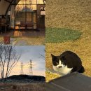 4공단로1L-36 | 인천 선재도 글램핑 | 커플 여행 숙소 추천, 선재담 글램핑 파크뷰 이용 후기 &lt;1탄&gt;