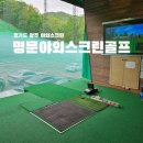 코코스크린골프 이미지