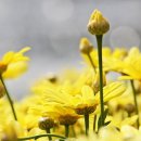 이시형한의원 이미지