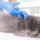 365 마음동물병원 이미지