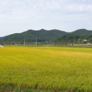 불갑사 산림박물관 이미지