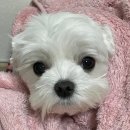카페퉁이 이미지
