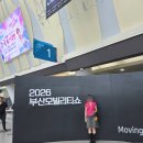 스카이SIGN | 서당개 3년이면 차 이름을 읊는다 | 2026 모터쇼 후기 (부산-거제 1박2일)